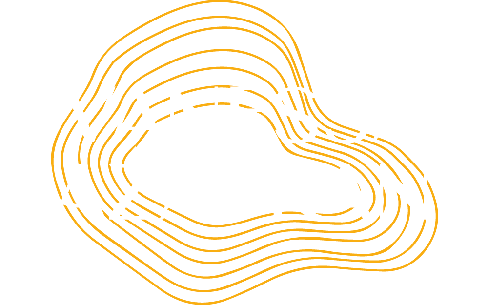 Logo blanc vanessa